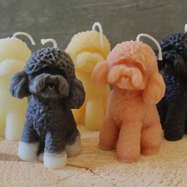 Poodle, Doodle Beeswax/ Soy Blend Candle - - Wicksburgh - Wild Lark