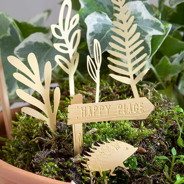 Tiny Bike Adventure For Your Plants -  - Botanopia USA - Wild Lark
