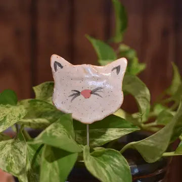 Plant Buddies - Cat/Kitten - Mud & Maker - Wild Lark