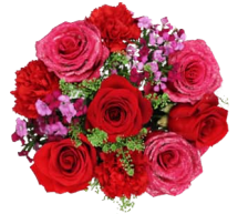 Wrapped Bouquets - H - Wild Lark - Wild Lark