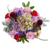 Wrapped Bouquets - M - Wild Lark - Wild Lark
