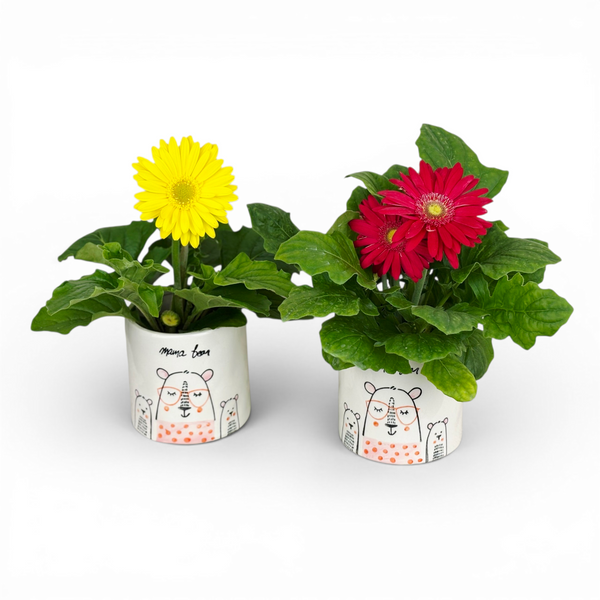Mother's Days-ies - - Wild Lark - Wild Lark