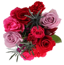 Wrapped Bouquets - D - Wild Lark - Wild Lark