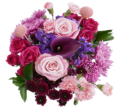Wrapped Bouquets - B - Wild Lark - Wild Lark