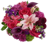 Wrapped Bouquets - L - Wild Lark - Wild Lark