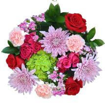 Wrapped Bouquets - K - Wild Lark - Wild Lark