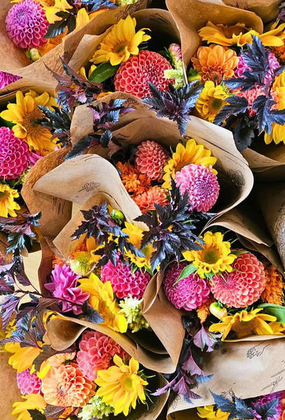 Local Market Wrap (In-person) - - Wild Lark - Wild Lark
