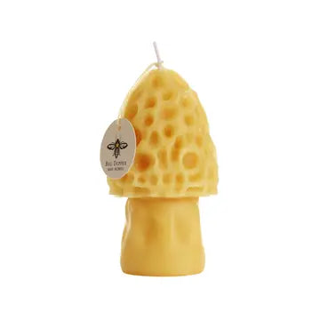 Mushroom Candle - Morel - Big Dipper Wax Works - Wild Lark