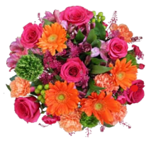 Wrapped Bouquets - N - Wild Lark - Wild Lark