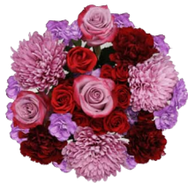 Wrapped Bouquets - G - Wild Lark - Wild Lark