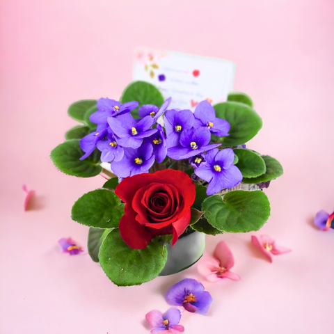 "Roses Are Red, Violets Are Blue" Valentine's Day Gift -  - Wild Lark - Wild Lark
