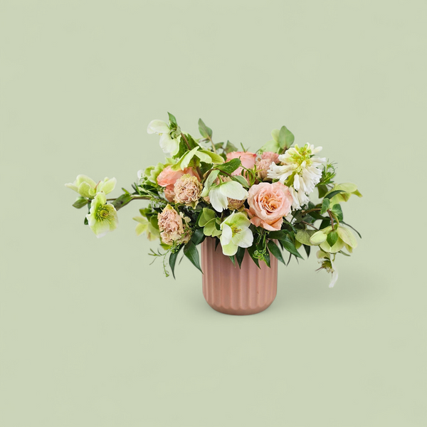 Springy Vased Arrangement - Designer's Choice - Small - Wild Lark - Wild Lark
