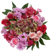 Wrapped Bouquets - I - Wild Lark - Wild Lark
