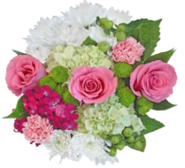 Wrapped Bouquets - A - Wild Lark - Wild Lark