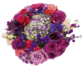 Wrapped Bouquets - O - Wild Lark - Wild Lark