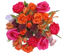 Wrapped Bouquets - C - Wild Lark - Wild Lark