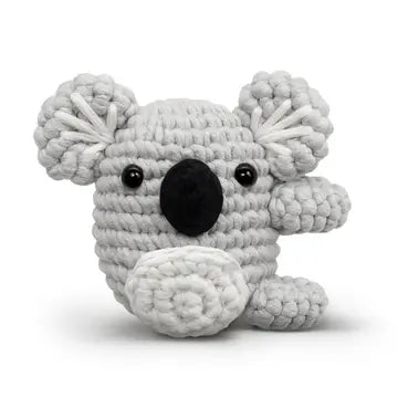 Beginner Crochet Kit