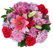 Wrapped Bouquets - F - Wild Lark - Wild Lark