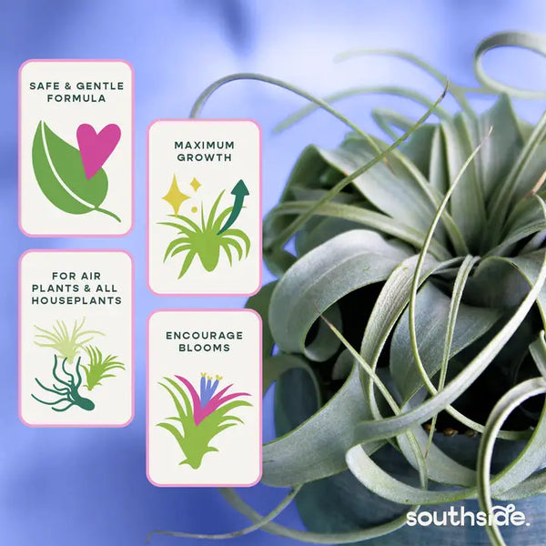 Air Plant Fertilizer - Spray and Soak - - Southside. - Wild Lark