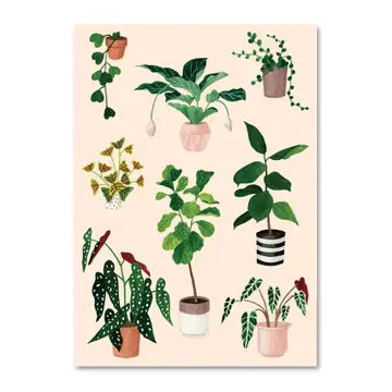 Postcards by Melanie Voituriez - Indoor Plant - Melanie Voituriez - Wild Lark