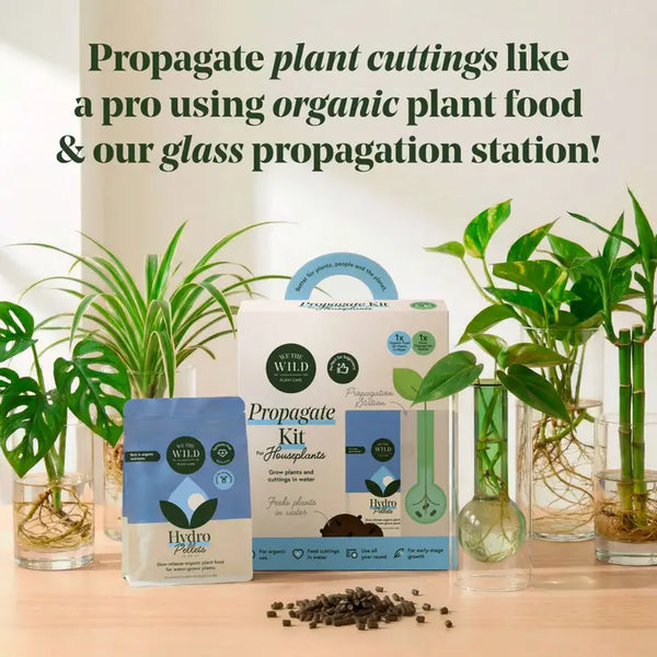 Propagation Kit - - We The Wild - Wild Lark