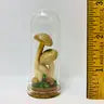 Mushroom Curiosity Jar Real Fungi Curio - 2125 - Fungus Farm - Wild Lark