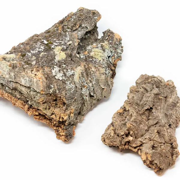 Virgin Cork Bark Slab - - Air Plant Shop - Wild Lark