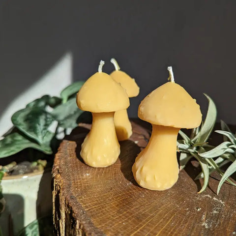 Mushroom Beeswax Candle -  - The Ramblin' Bee - Wild Lark