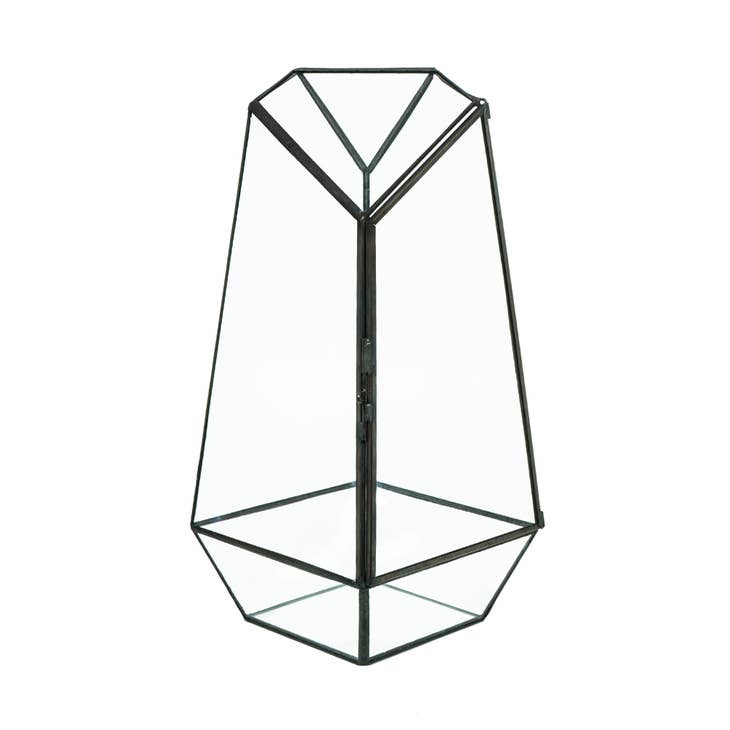 Indoor Plant Geometric Glass Vessel Container For Plants -  - HIRO AQUATICS - Wild Lark