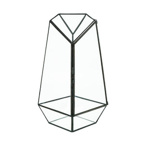 Indoor Plant Geometric Glass Vessel Container For Plants -  - HIRO AQUATICS - Wild Lark