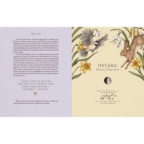 Wheel of the Year By Fiona Cook -  - Simon & Schuster - Wild Lark