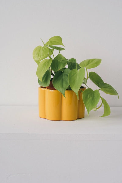 Self-Watering Pot Paula - Mustard Yellow - Pepin - Wild Lark