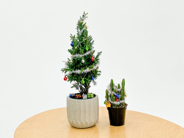 House Plant Christmas Tree Decoration Kit -  - The Plant Supply - Wild Lark