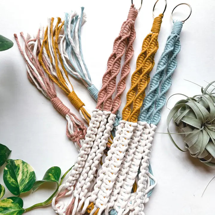 Color Block Plant Hanger - Blue - Knotted - Wild Lark