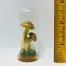 Mushroom Curiosity Jar Real Fungi Curio - 2119 - Fungus Farm - Wild Lark