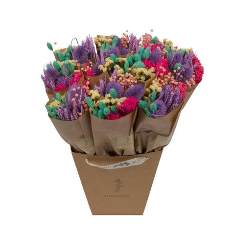 Dried Flowers - Market More - Rainbow -  - Wildflowers by Floriette - Wild Lark