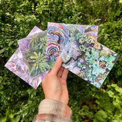 Textures of Nature - Set of 4 Assorted Greeting Cards -  - Rosalie Haizlett Illustration - Wild Lark