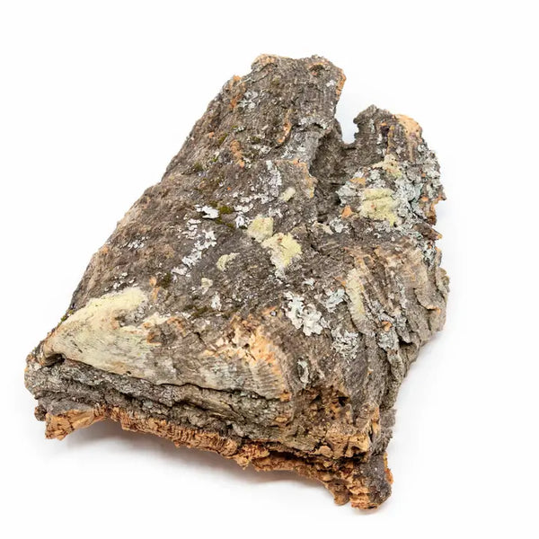 Virgin Cork Bark Slab - - Air Plant Shop - Wild Lark