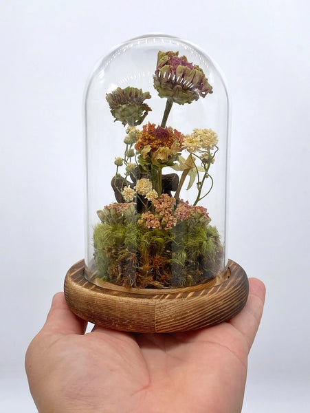 Dried Flower Zinnia Cloche Terrarium -  - Right Side Hand - Wild Lark