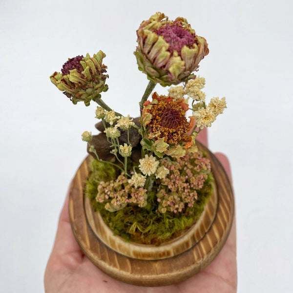 Dried Flower Zinnia Cloche Terrarium -  - Right Side Hand - Wild Lark