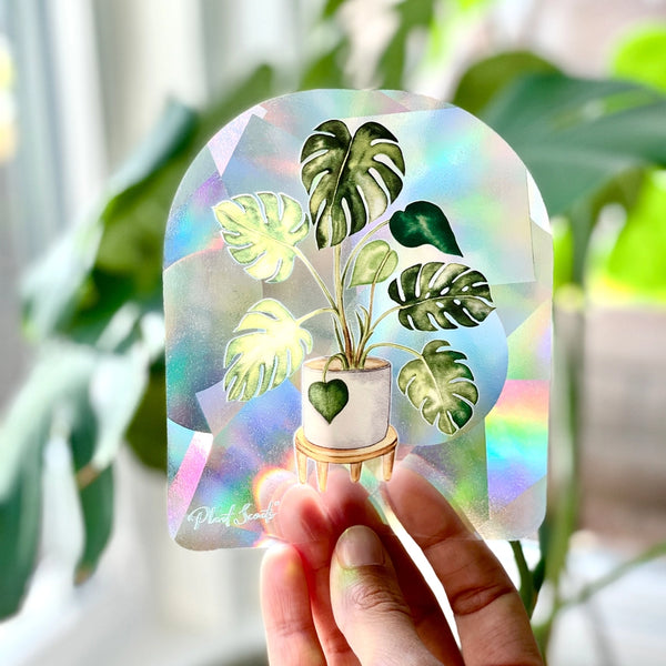 Rainbow Maker Suncatcher Window Decal Sticker - Monstera - Plant Scouts - Wild Lark