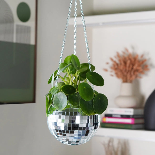 Disco Ball Hanging Planter - 6 inch - Bubblegum Stuff US - Wild Lark