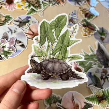 Lucinda Rowe Art Stickers - Snapping Turtle with Common Arrowhead - Lucinda Rowe Art - Wild Lark