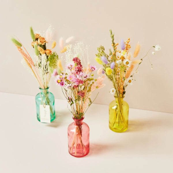 Dried Flowers - Floral Tea Party - - Wildflowers by Floriette - Wild Lark