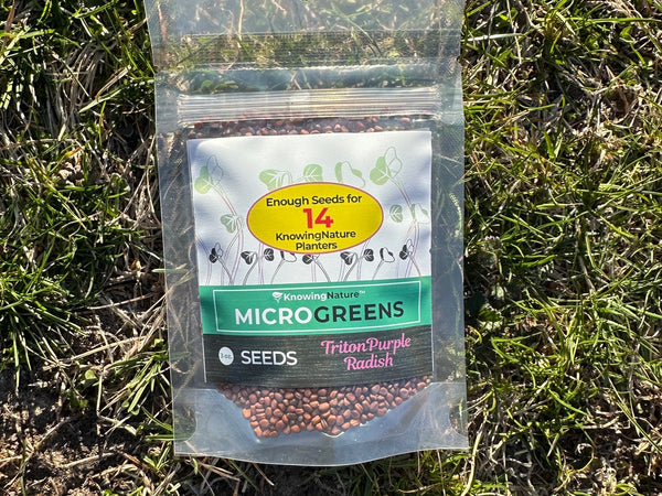 Microgreens Seeds - Purple Radish - Knowing Nature - Wild Lark