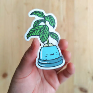 Avocado Vinyl Sticker -  - Home by Faith - Wild Lark