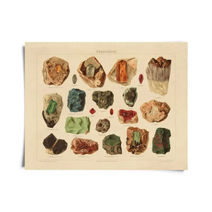 Vintage Minerals Crystals Gemstones Print -  - Curious Prints - Wild Lark