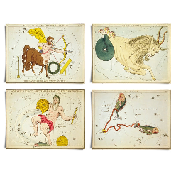 Vintage Zodiac Sign Astrology Print -  - Curious Prints - Wild Lark