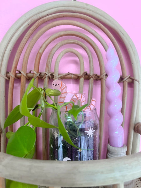 Worm Plant Pal -  - Jollie Ollie Designs - Wild Lark