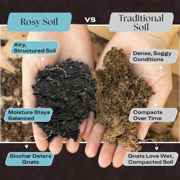 Organic Houseplant Mix For Potted Plants - - Rosy Soil - Wild Lark